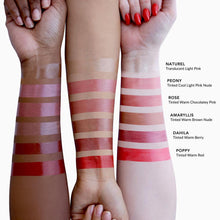 Load image into Gallery viewer, Essential Lip Enhancer Shine Balm PR Box